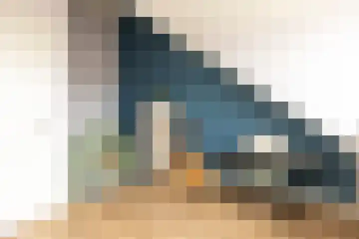 Kievit 94 Maurik thumbnail 66