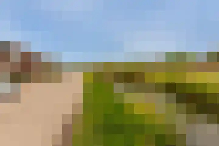 Kievit 94 Maurik thumbnail 8