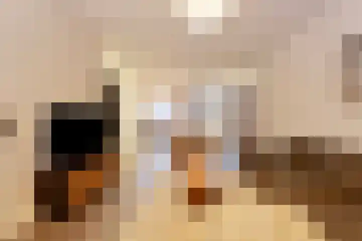 Kievitenveld 21 Cuijk thumbnail 13