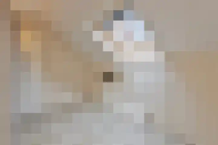 Kievitenveld 21 Cuijk thumbnail 26
