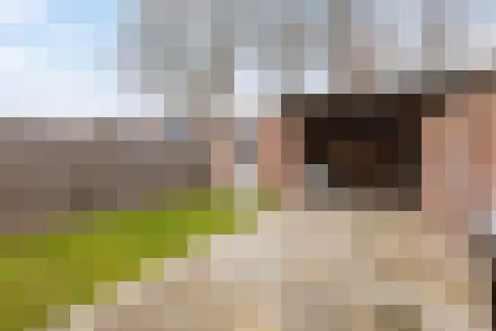 Kievitenveld 21 Cuijk thumbnail 28
