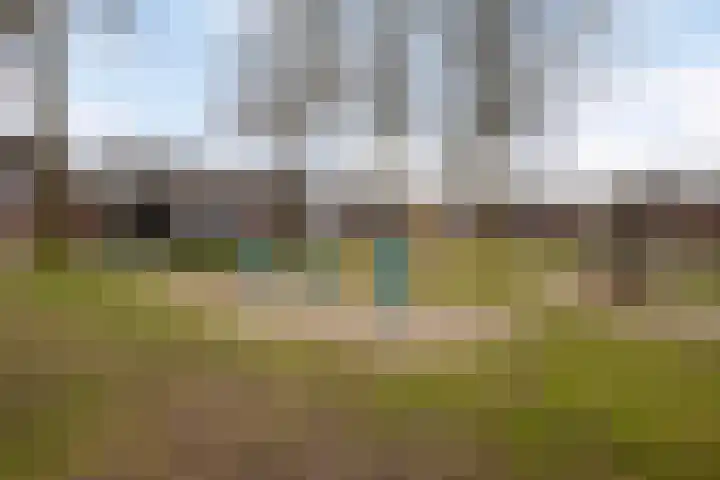 Kievitenveld 21 Cuijk thumbnail 30
