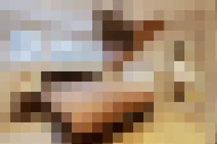 Kievitenveld 21 Cuijk thumbnail 4