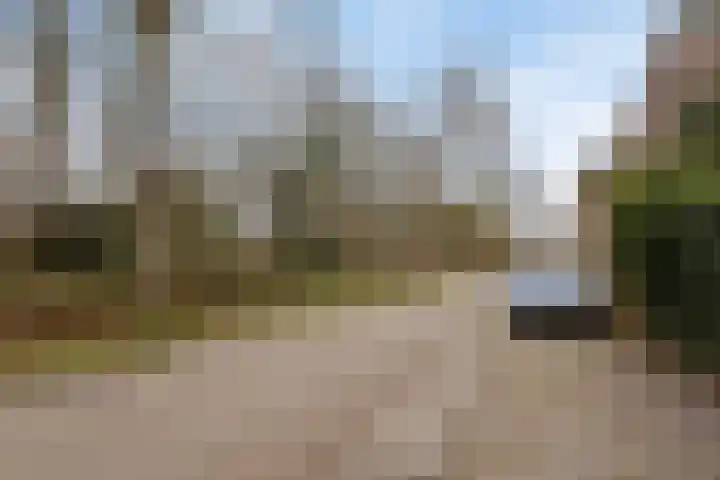 Kievitenveld 21 Cuijk thumbnail 8