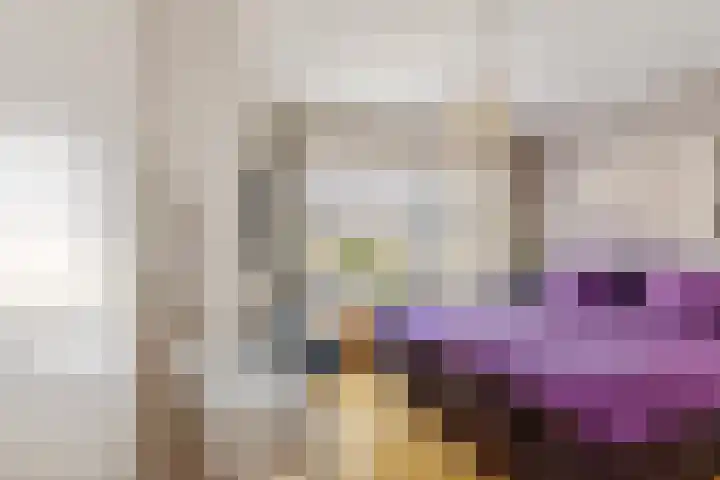 Kievitlaan 14 Boekel thumbnail 11