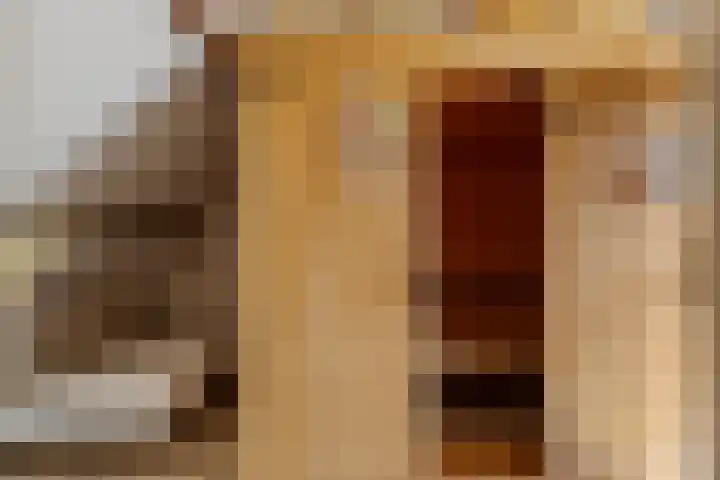 Kievitlaan 14 Boekel thumbnail 19