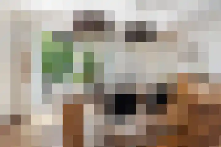 Kievitlaan 14 Boekel thumbnail 5