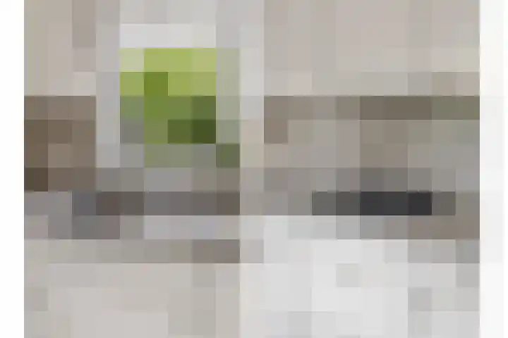 Kievitlaan 14 Boekel thumbnail 8