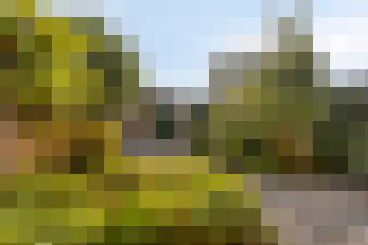 Kievitlaan 30 Schagen thumbnail 30
