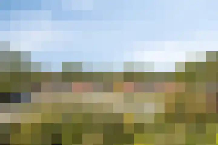 Kievitlaan 30 Schagen thumbnail 35