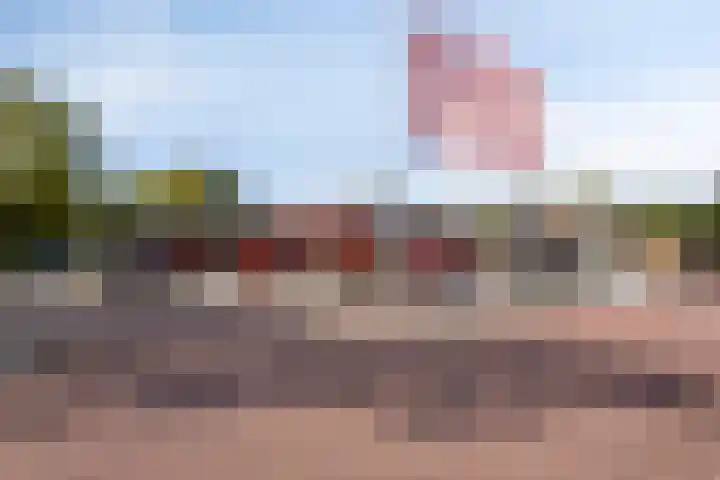 Kievitlaan 30 Schagen thumbnail 36