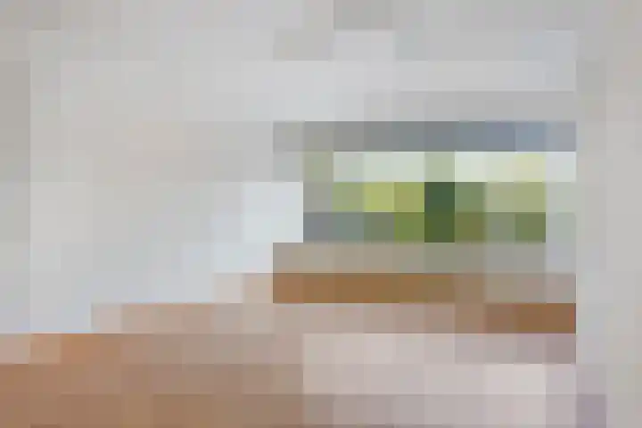 Kievitlaan 30 Schagen thumbnail 5