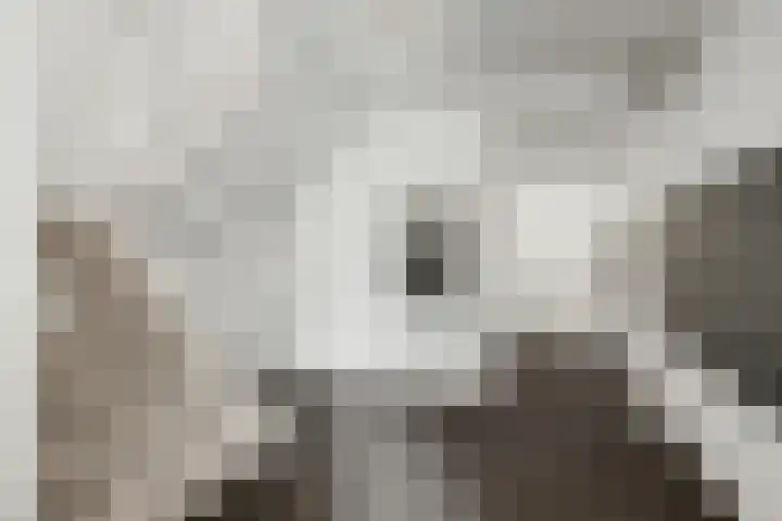 Kievitlaan 88 Goes thumbnail 5