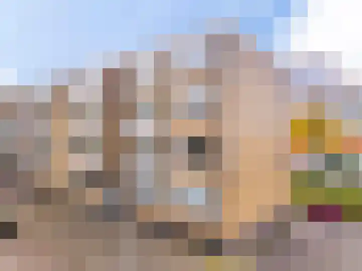 Kievitlande 29 Pijnacker thumbnail 11