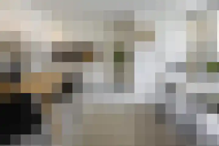 Kievitlande 29 Pijnacker thumbnail 13