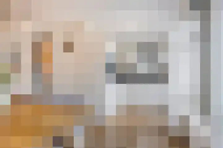 Kievitlande 29 Pijnacker thumbnail 13