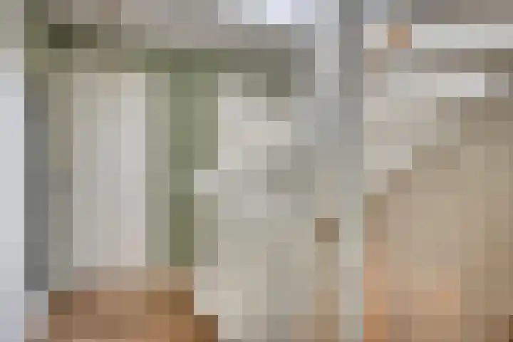 Kievitlande 29 Pijnacker thumbnail 27