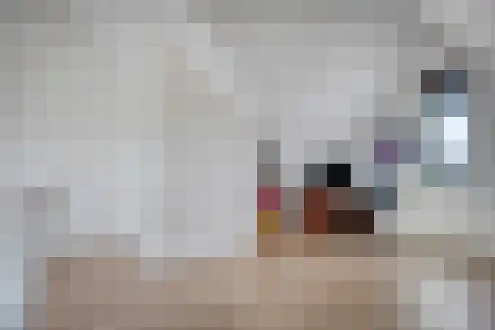 Kievitlande 29 Pijnacker thumbnail 31