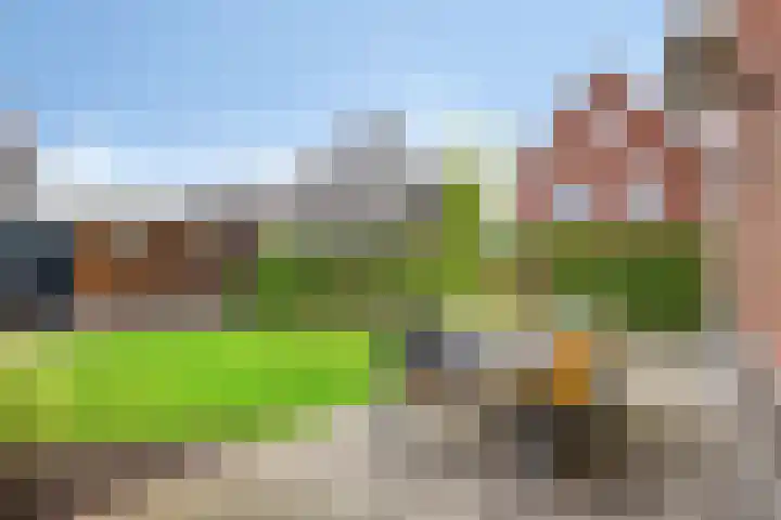 Kievitlande 29 Pijnacker thumbnail 32