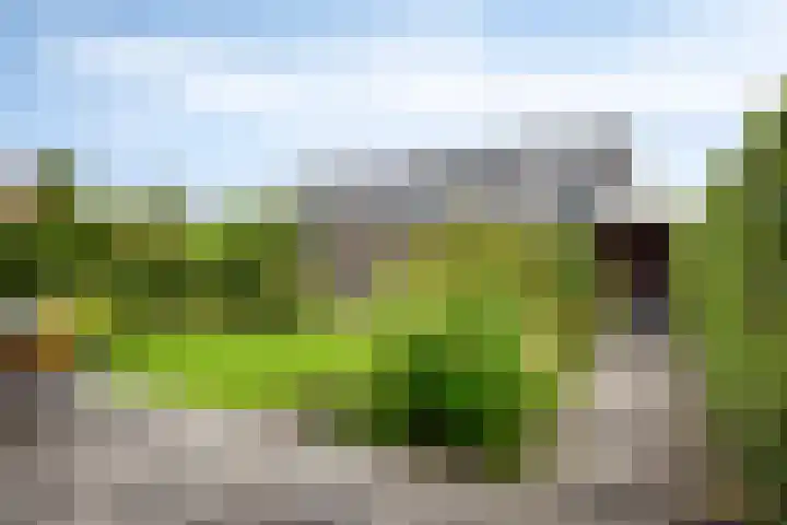 Kievitlande 29 Pijnacker thumbnail 33