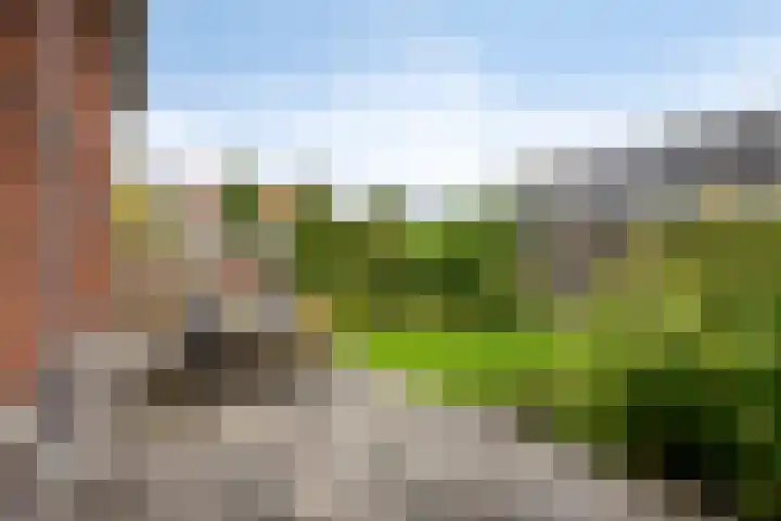 Kievitlande 29 Pijnacker thumbnail 35