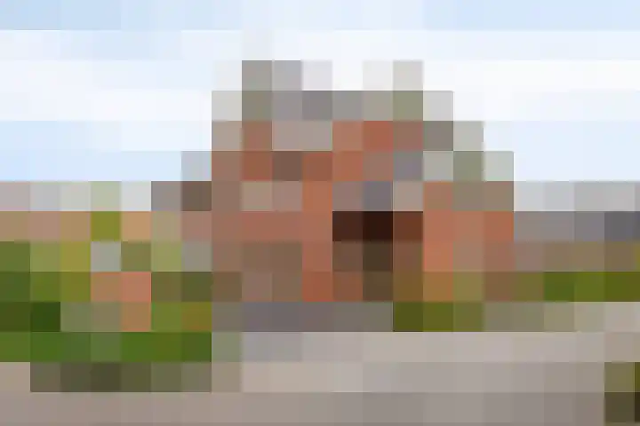 Kievitlande 29 Pijnacker thumbnail 44