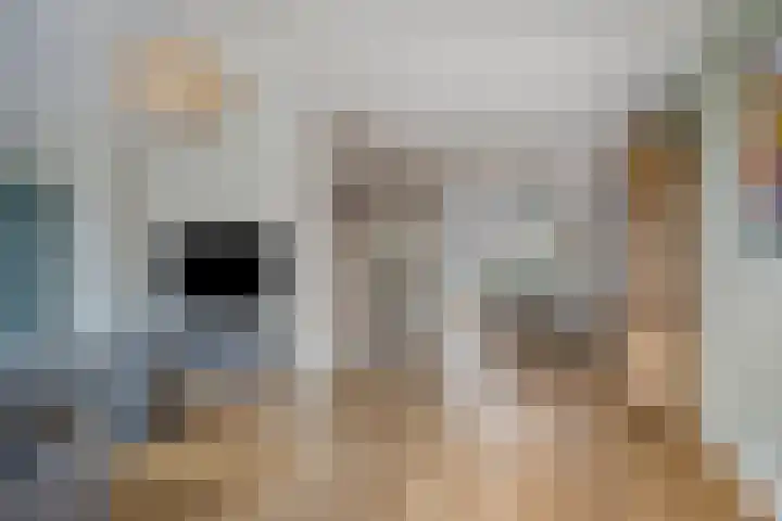 Kievitlande 29 Pijnacker thumbnail 9