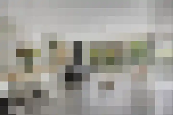 Kievitlande 35 Pijnacker thumbnail 11