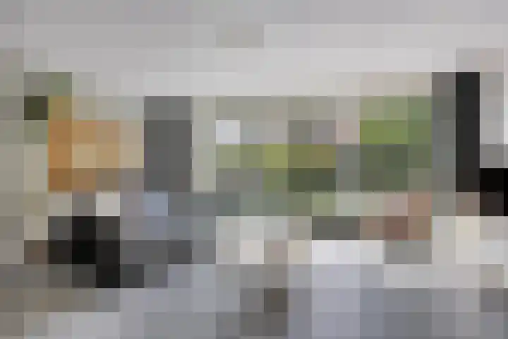 Kievitlande 35 Pijnacker thumbnail 12