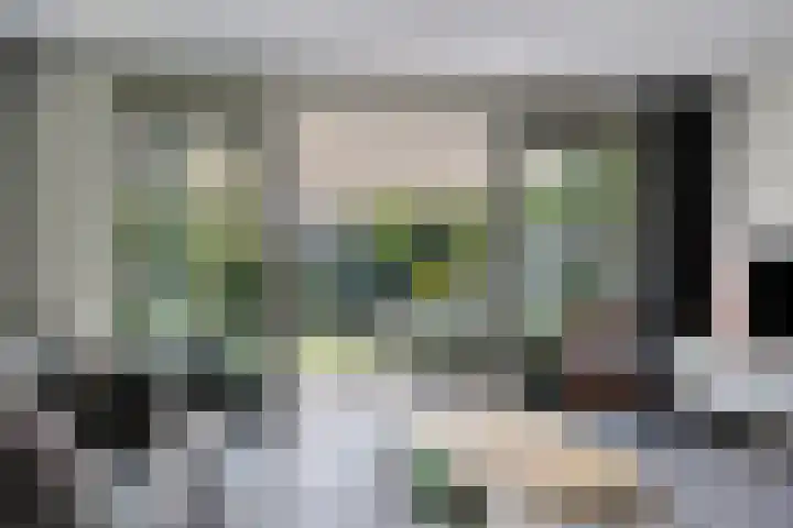 Kievitlande 35 Pijnacker thumbnail 13