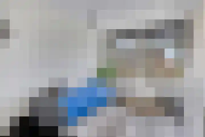 Kievitlande 35 Pijnacker thumbnail 27