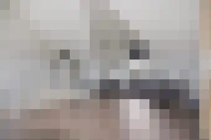 Kievitlande 35 Pijnacker thumbnail 33