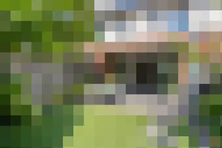 Kievitlande 35 Pijnacker thumbnail 36