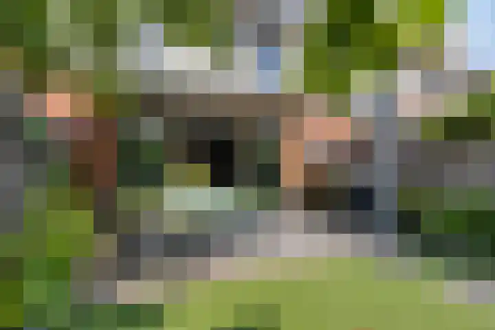 Kievitlande 35 Pijnacker thumbnail 37
