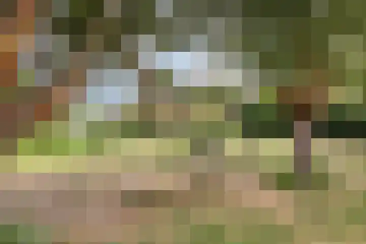Kievitlande 35 Pijnacker thumbnail 39