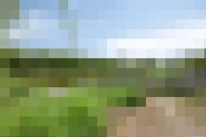 Kievitlande 35 Pijnacker thumbnail 40