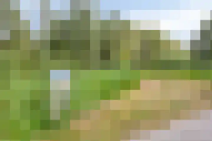 Kievitlande 35 Pijnacker thumbnail 41