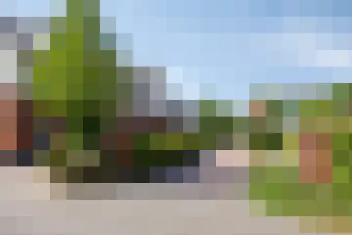 Kievitlande 35 Pijnacker thumbnail 7