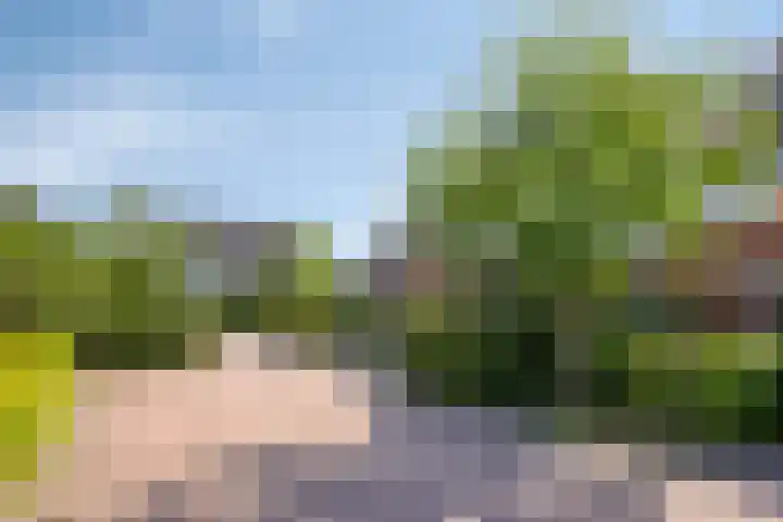 Kievitlande 35 Pijnacker thumbnail 8