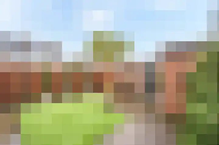 Kievitsheuvel 90 Bodegraven thumbnail 14