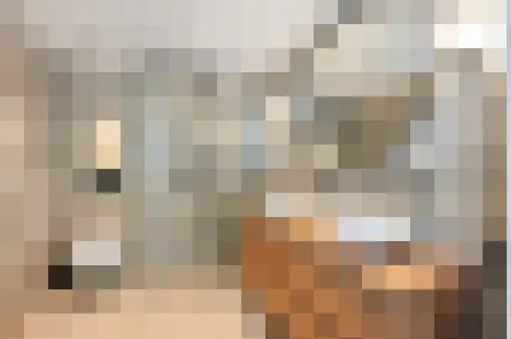 Kievitsheuvel 90 Bodegraven thumbnail 26