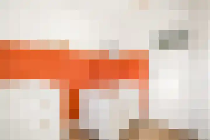 Kievitspad 6 Amersfoort thumbnail 18