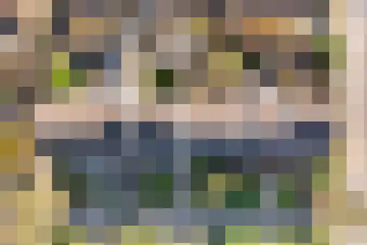 Kievitspad 6 Amersfoort thumbnail 35
