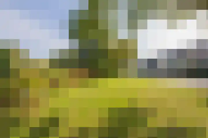 Kievitstraat 10 Lisse thumbnail 32