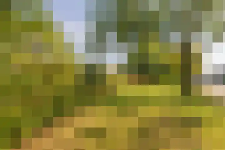 Kievitstraat 10 Lisse thumbnail 33