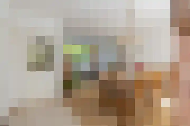 Kievitstraat 10 Lisse thumbnail 4