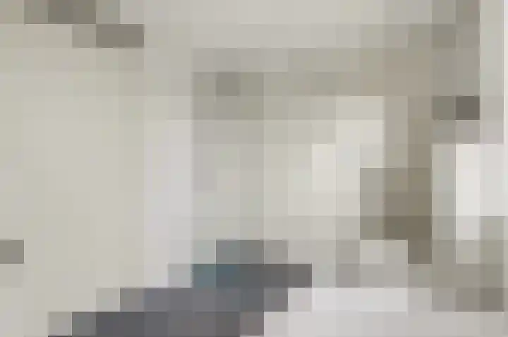 Kievitstraat 11 Velp thumbnail 36