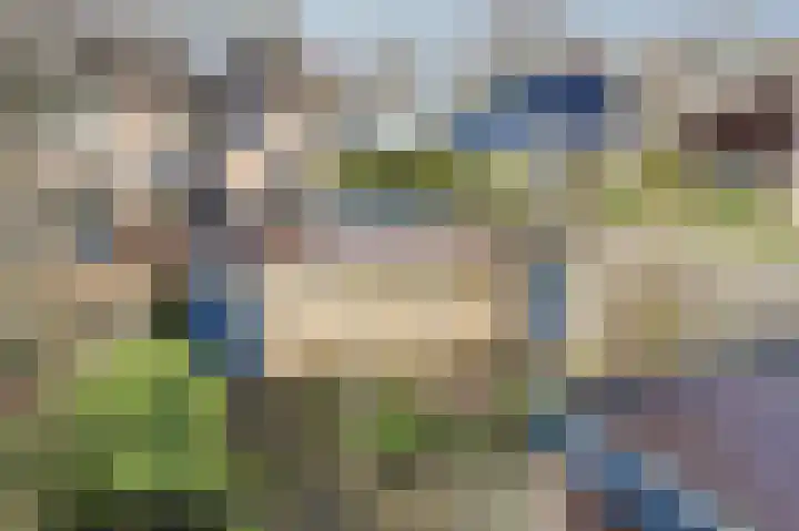 Kievitstraat 11 Velp thumbnail 39