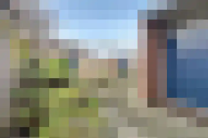Kievitstraat 11 Velp thumbnail 41