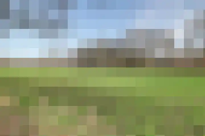 Kievitstraat 11 Velp thumbnail 53